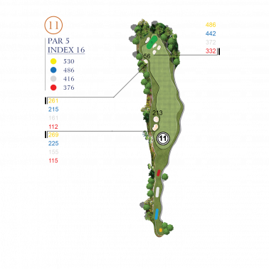 HỐ 11
